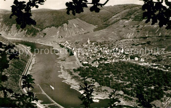 Bruttig Mosel Panorama Blick ins Moseltal