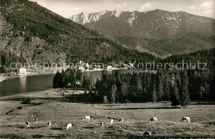 Spitzingsee Panorama Blick gegen Sonnwendjoch Mangfallgebirge