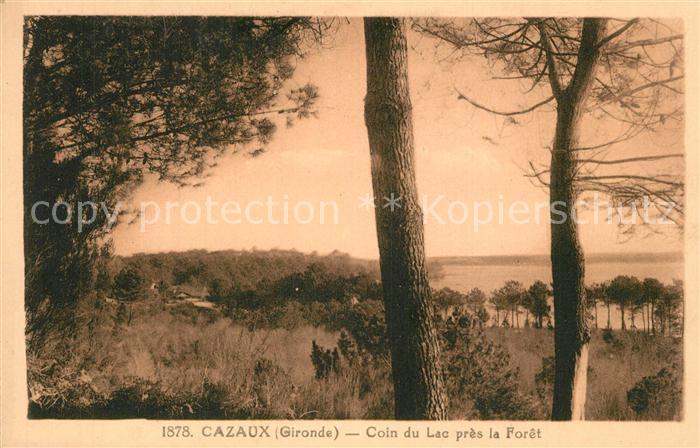 Cazaux La Teste-de-Buch Coin du Lac pres la Foret