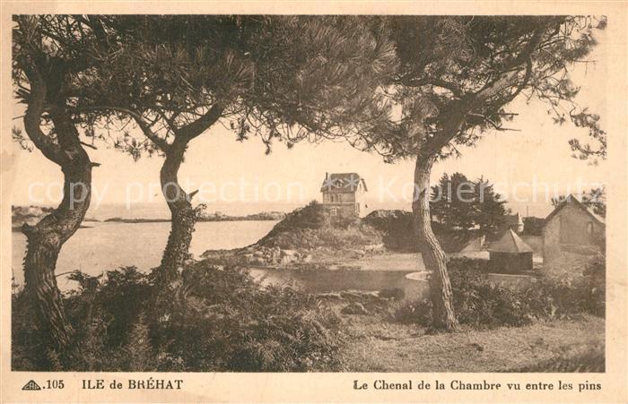 Ile-de-Brehat Le Chenal de la Chambre vu entre les pins