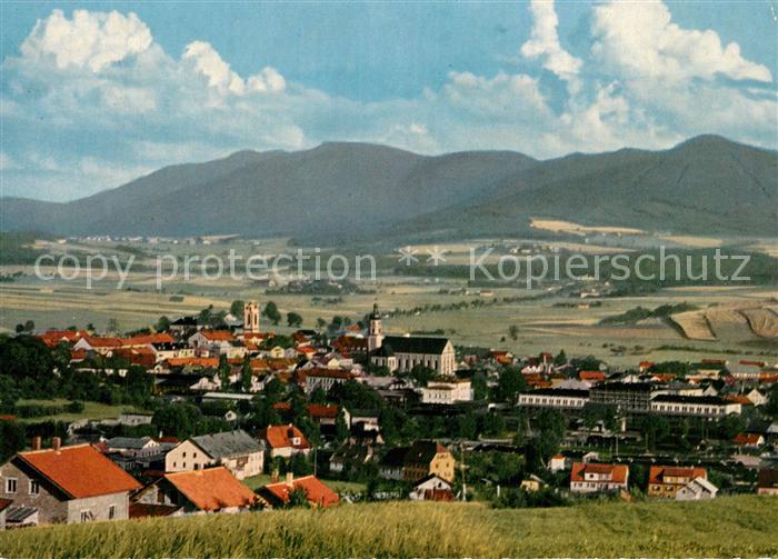 Furth Wald Panorama mit Hohenbogen