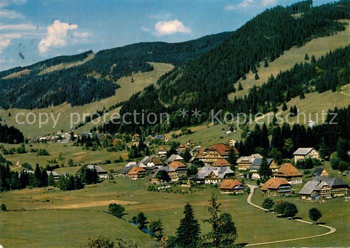 Menzenschwand Panorama