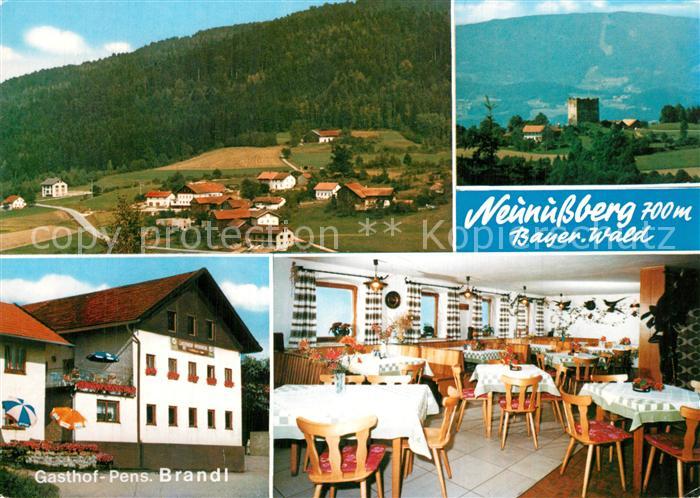 Neunussberg Panorama Gasthaus Pension Neunussberg Gaststube