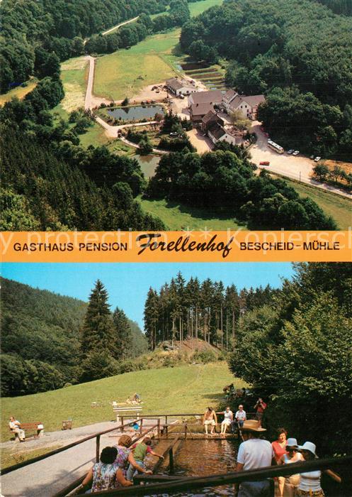 Bescheid Hermeskeil Gasthaus Pension Forellenhof Bescheid-Muehle Wassertretanlag