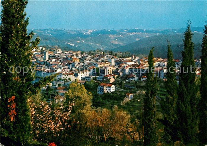 Vence-la-Jolie Vue Generale