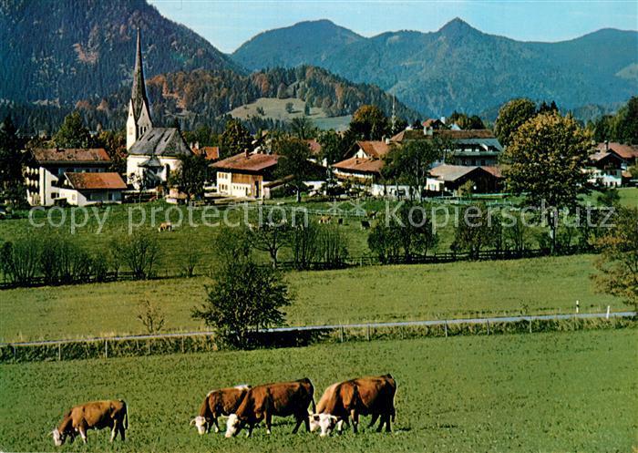 Bayrischzell Blick ueber die Viehweiden zum Ort