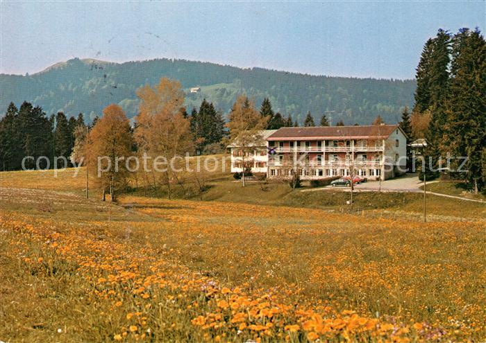 Scheffau Scheidegg Bergheim Blumenwiesen Allgaeuer Alpen