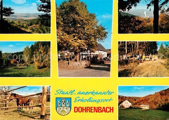 Dohrenbach Landschaftspanorama Waldidylle Dorfmotiv Pferde