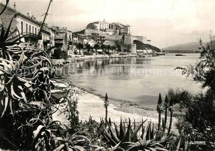 Calvi Port et Citadelle