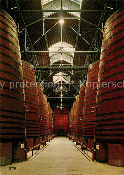 Thuir Etablissement Byrrh vue partielle de la plus grande Cave du monde