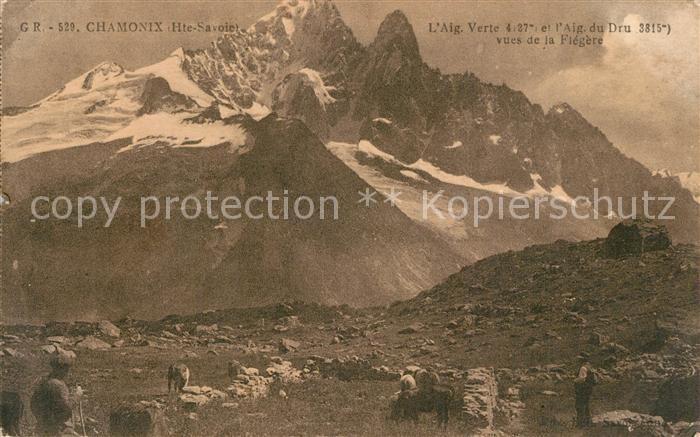 Chamonix Aigues Verte vues de la Flégère Alpes