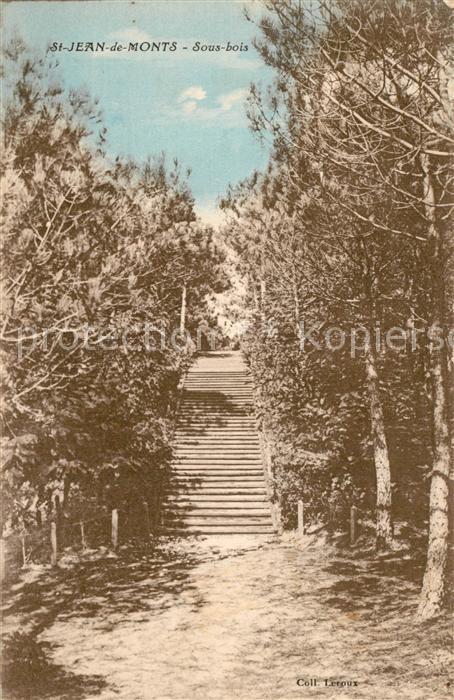 Saint Jean de Monts Sous bois