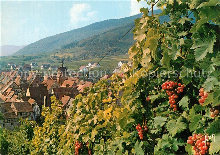 Riquewihr Haut Rhin Vue Generale Vignoble Alsacien