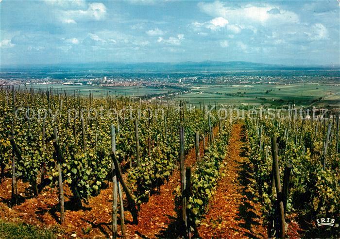 Colmar Haut Rhin Elsass Paysage entre Vosges et Foret Noire Vignobles
