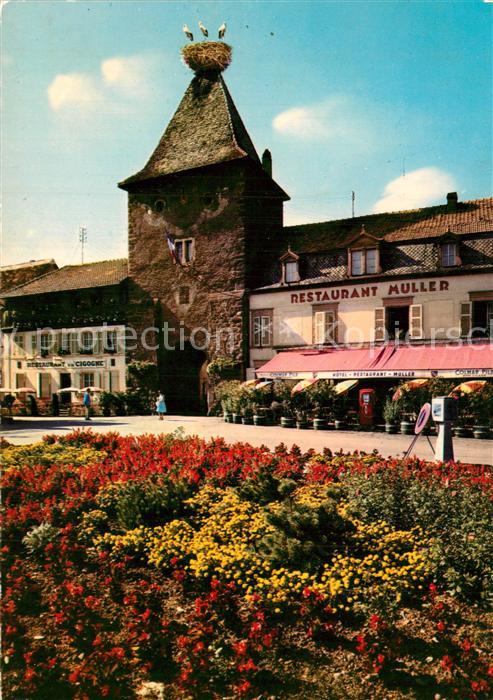 Turckheim Haut Rhin Porte de France et nid de cigognes
