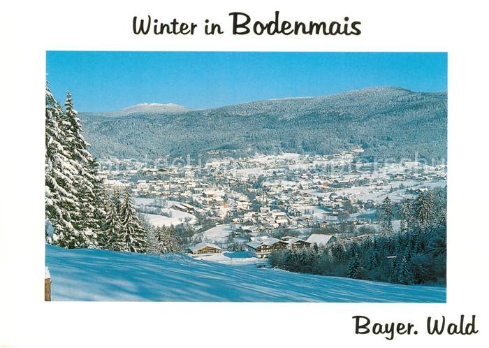 Bodenmais Winterpanorama