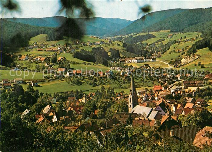 Baiersbronn Schwarzwald Panorama