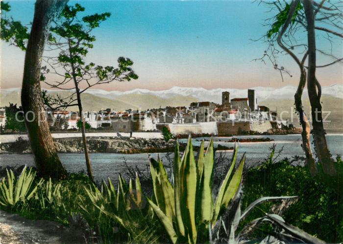 Antibes Alpes Maritimes Vue a travers les pins