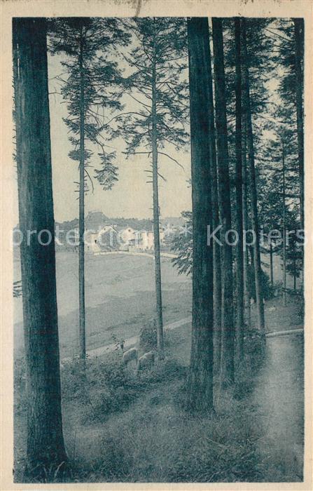 Les Trois Epis Vosges