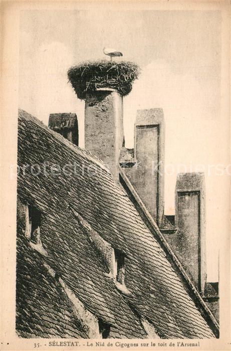Selestat Bas Rhin Elsass Le Nid de Cigognes