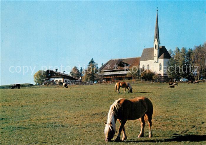 Kematen Tirol am Ritten Pferde mit Schlern