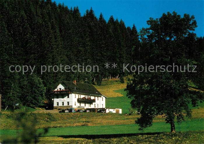 Titisee-Neustadt Gasthaus Pension Donish?usle