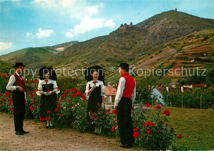 Ribeauville Haut Rhin Elsass Chateaux Paysage et Folklore