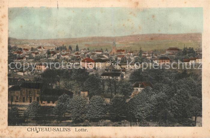 Chateau-Salins Panorama