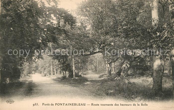 Fontainebleau Seine et Marne Foret Route tournants des hauteurs de la Solle