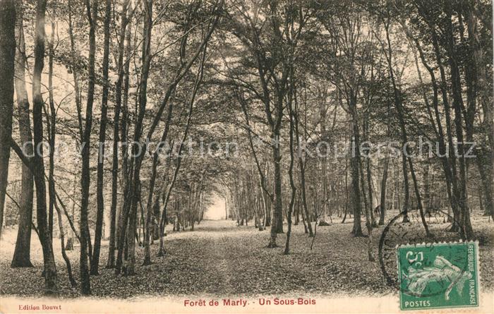 Marly Metz-Campagne Foret de Marly Un Sous Bois