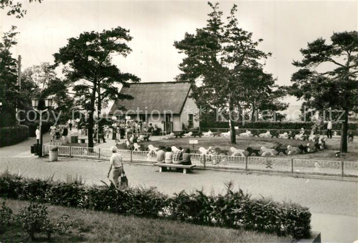 Zinnowitz Ostseebad Kindersportgarten