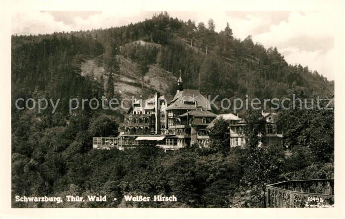 Schwarzburg Thueringer Wald Weisser Hirsch