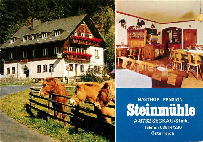 Seckau Gasthof Pension Steinmuehle Gaststube