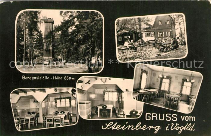 Wildenau Vogtland Berggaststtte Steinberg Aussichtsturm