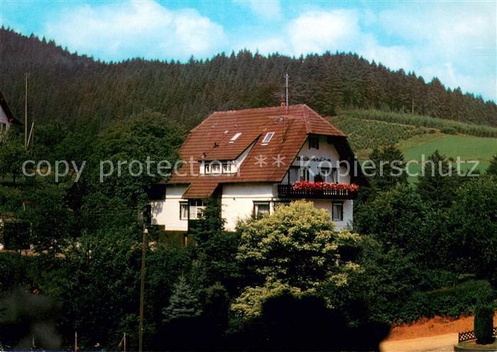 Baiersbronn Schwarzwald Pension Waldesruhe