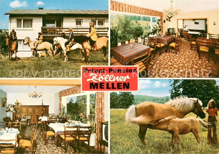 Mellen Sauerland Privat Penson Zoellner Gastraeume Stute mit Fohlen