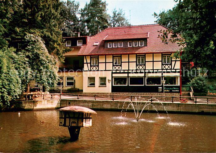 Forsbach Rheinland Waldrestaurant Forsbacher Muehle Schwanenteich