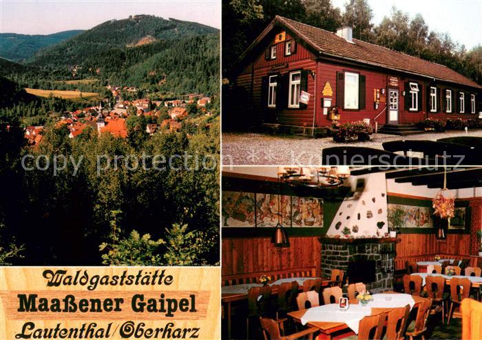 Lautenthal Harz Waldgaststaette Maassener Gaipel Gaststube Panorama