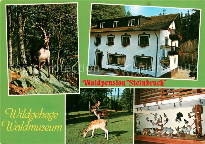 Furth Wald Waldpension Steinbruch Wildgehege Waldmuseum