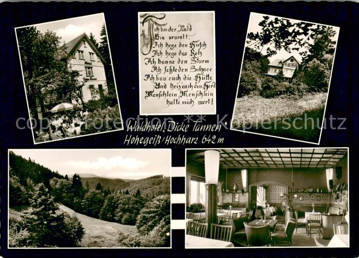 Hohegeiss Harz Waldhotel Dicke Tannen Terrasse Gastraum