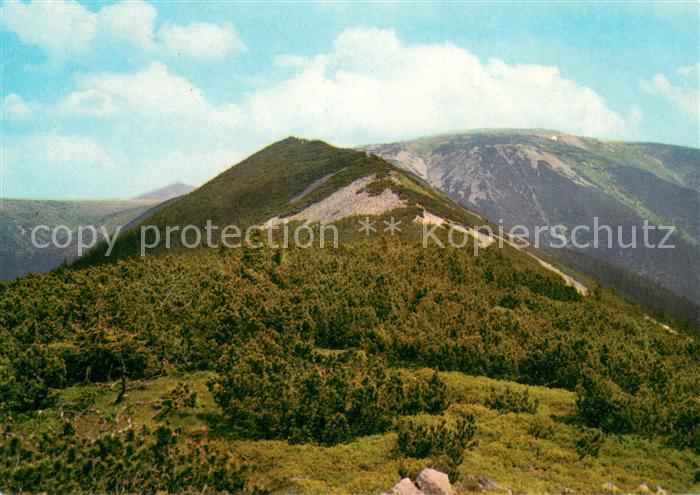 Krkonose Kozi Hrbety Vlevo udoli Bileho Labe se Snezkou