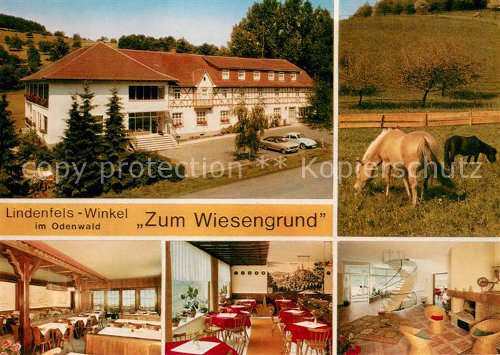 Winkel Odenwald Restaurant Pension Zum Wiesengrund Gastraeume Pferdekoppel