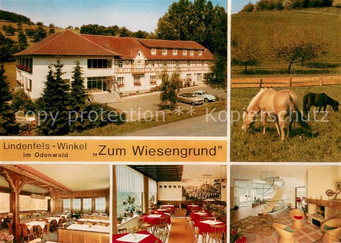 Winkel Lindenfels Restaurant Cafe und Pension Zum Wiesengrund Gastraeume Pferdek