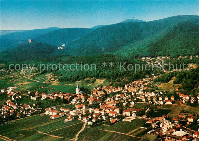 Hambach Neustadt Fliegeraufnahme mit Hambacher Schloss