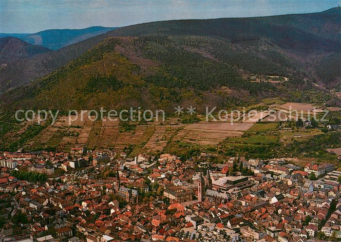 Neustadt Weinstrasse Fliegeraufnahme