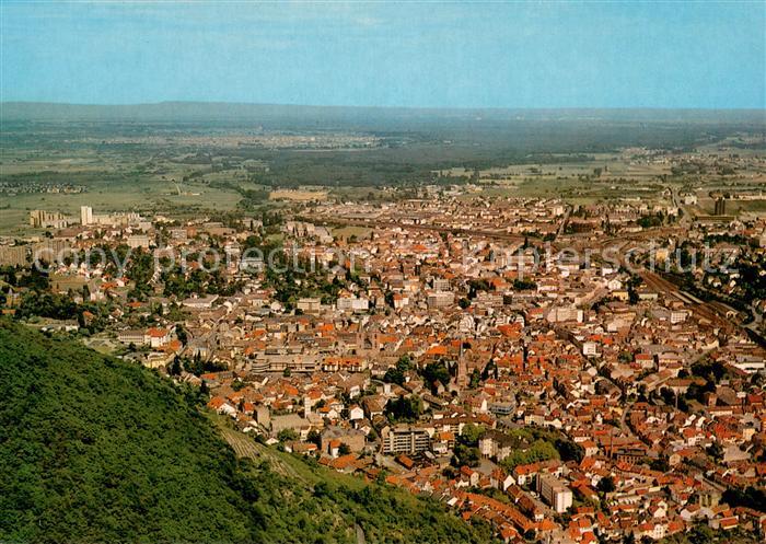 Neustadt Weinstrasse Fliegeraufnahme