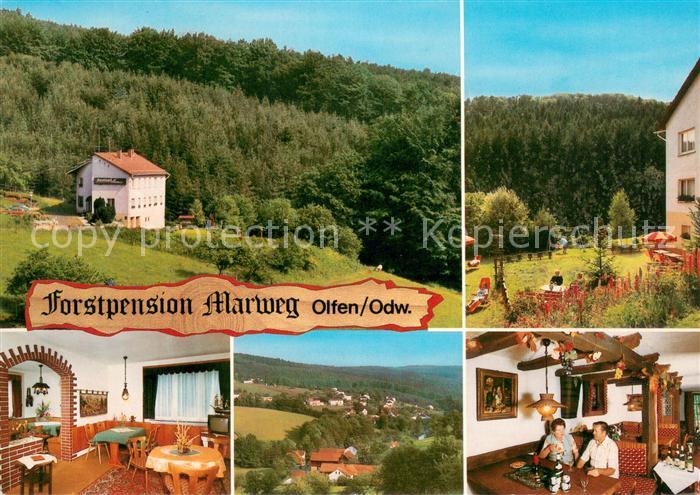 Olfen Odenwald Forstpension Martweg Gastraeume Panorama