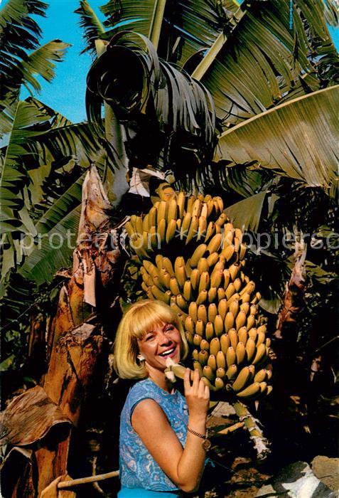 Bananen Canarias Plataneras y Bananas