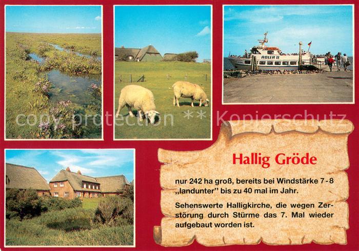Chronik-AK Hallig Gr?de