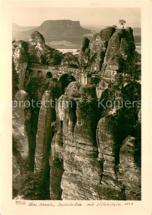 Foto Hahn Nr. 3208 Basteibr?cke Lilienstein
